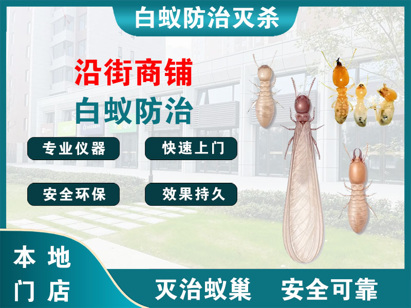 龙游沿街商铺白蚁防治
