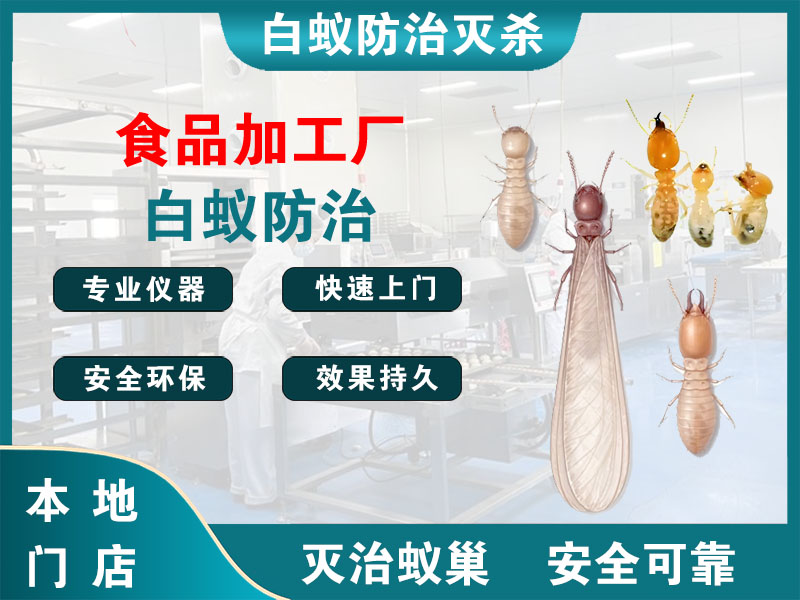 龙游食品加工厂白蚁防治