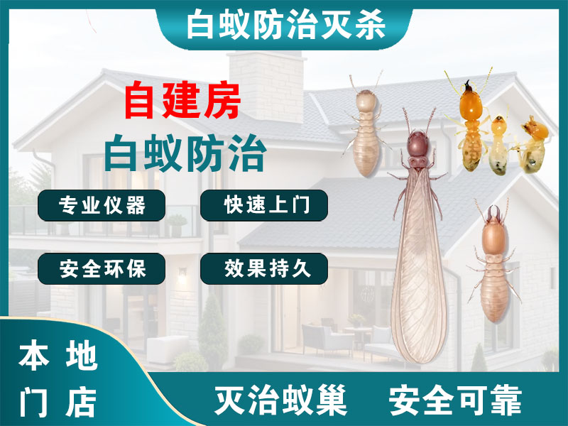 龙游自建房白蚁防治