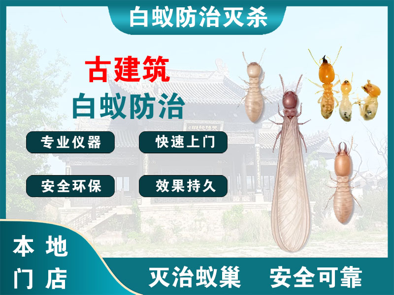 龙游古建筑白蚁防治