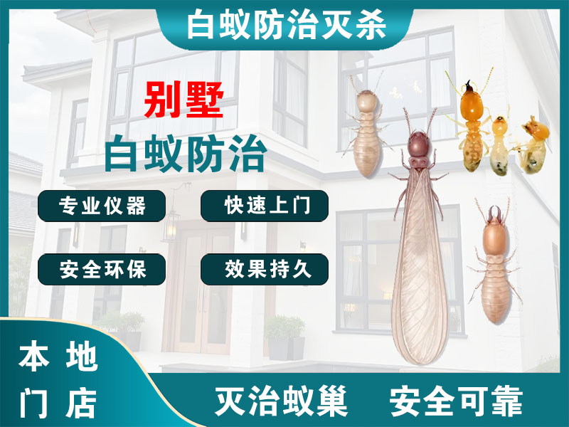 龙游别墅白蚁防治
